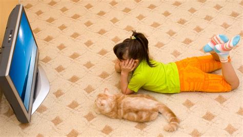 高齢者 運動 室内 - なぜ猫はテレビを見るのか？